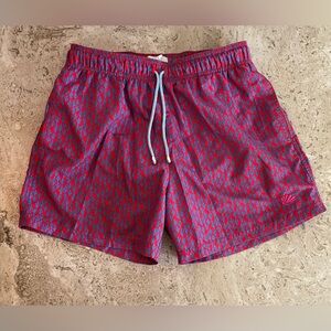 Beach Stash Blue Cactus Swim Trunks